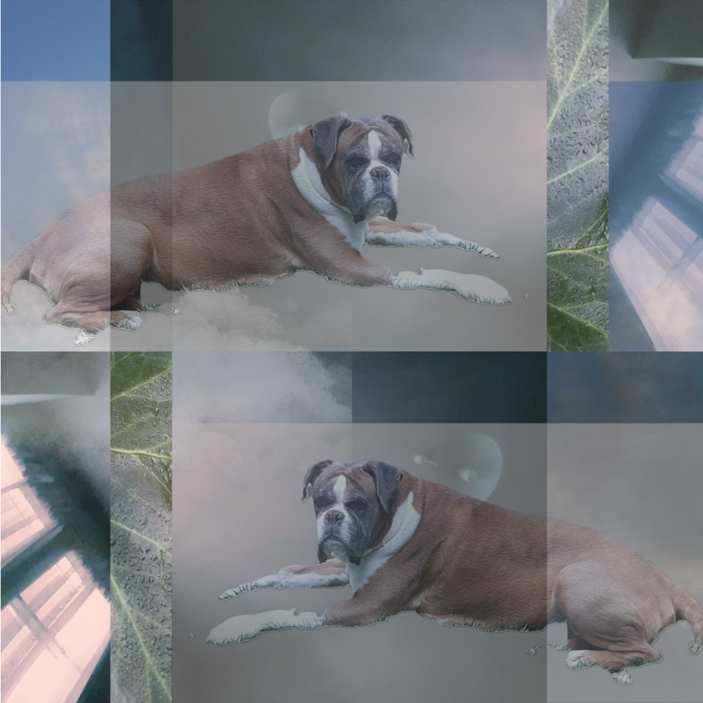 Mon chien